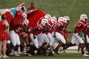 九游平台-青少年体育社团快速发展 激发校园活力，体育社团开展